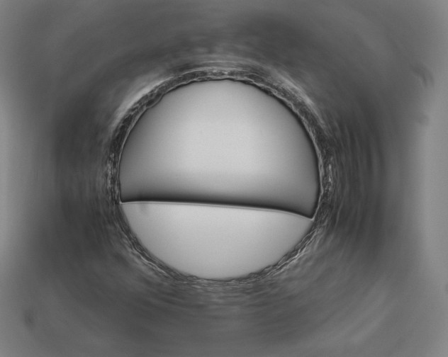 X0000113151352200909181742