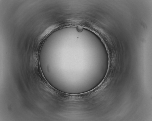 X0000113151354200909181742