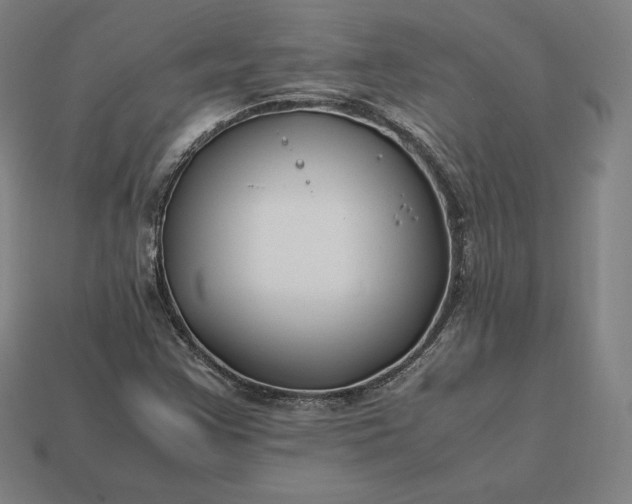 X0000113151355200909181742