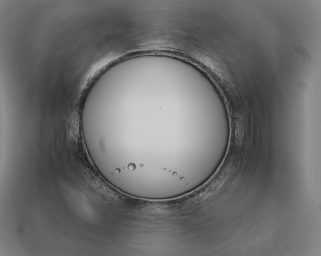 X0000113151358200909181742