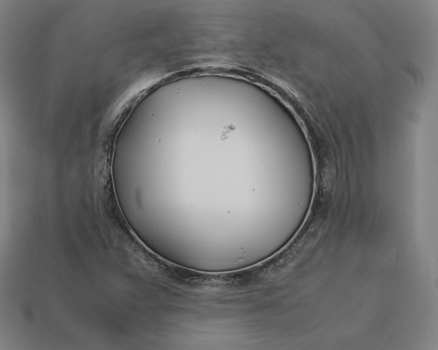 X0000113151359200909181742