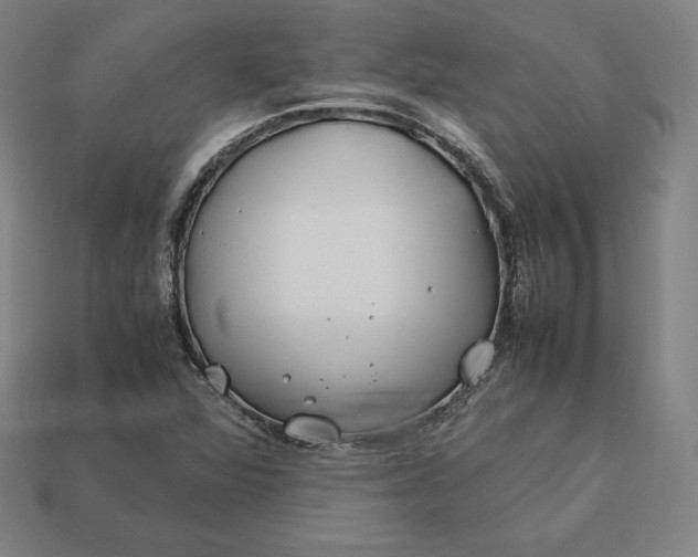 X0000113151360200909181742