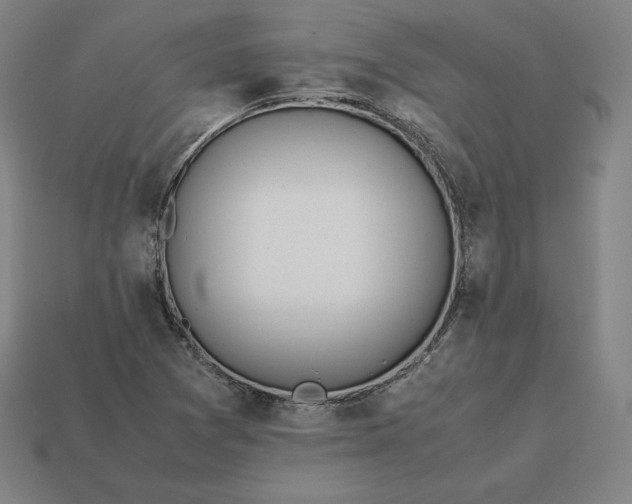 X0000113151361200909181742