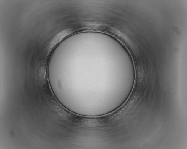 X0000113151362200909181742