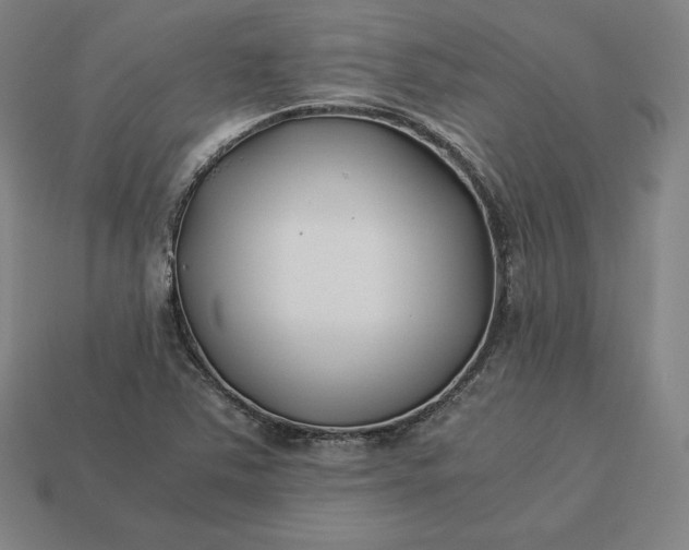 X0000113151363200909181742