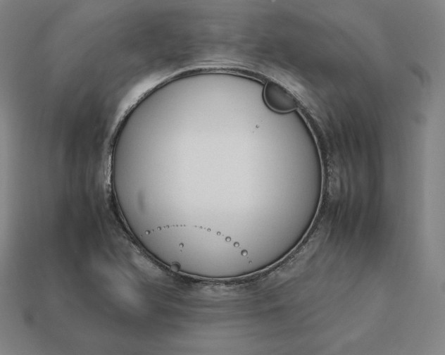 X0000113151366200909181742