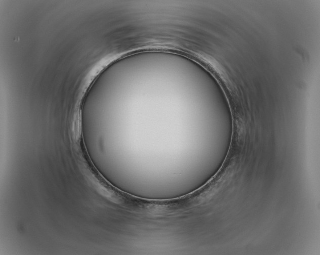 X0000113151371200909181741