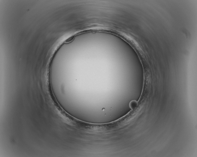 X0000113151375200909181741