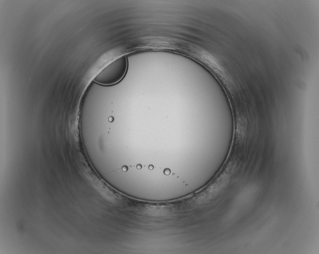 X0000113151378200909181741