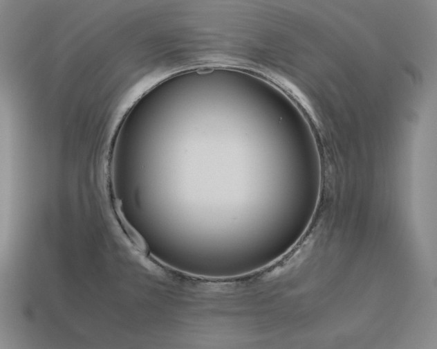 X0000113151381200909181741