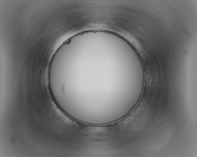 X0000113151382200909181741