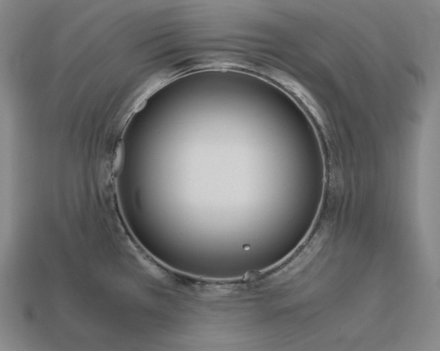 X0000113151385200909181741