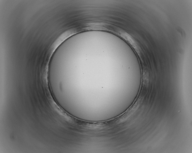 X0000113151386200909181741