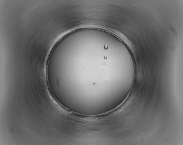 X0000113151388200909181741