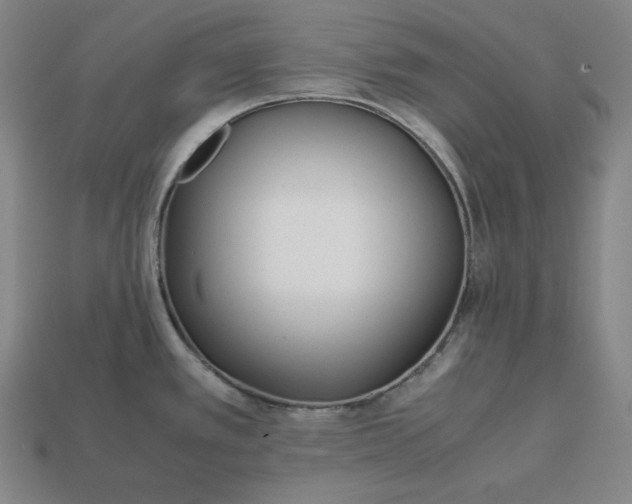 X0000113151389200909181741