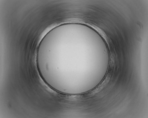 X0000113151390200909181741