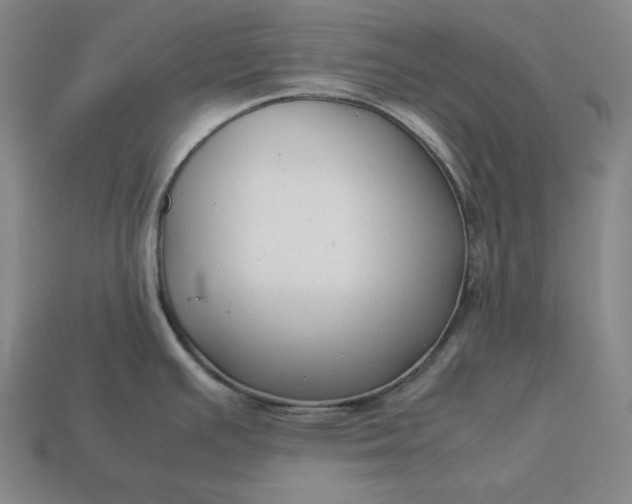 X0000113151391200909181741