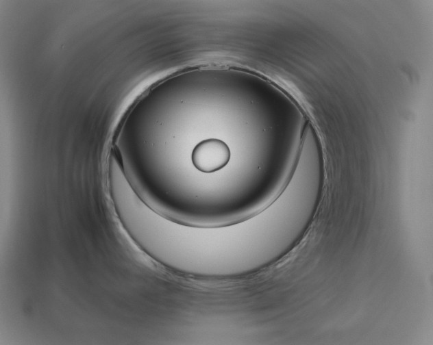 X0000113151392200909181741