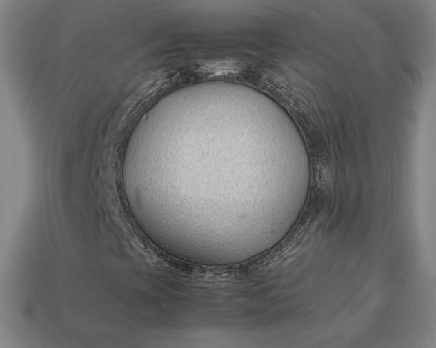 X0000113151393200909181741