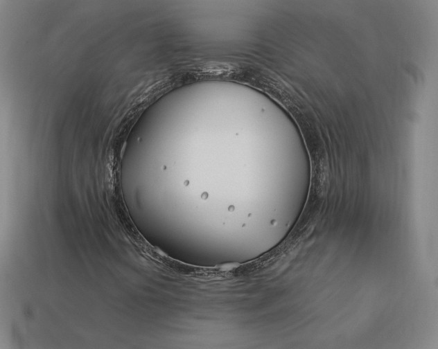 X0000113151394200909181741