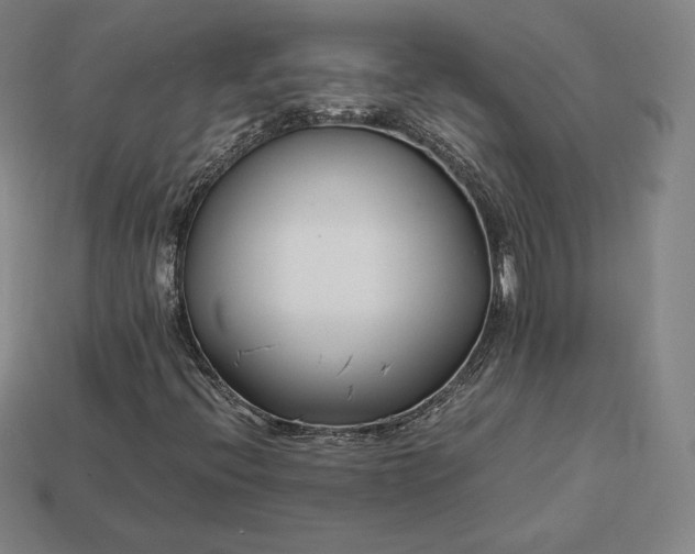 X0000113151396200909181741