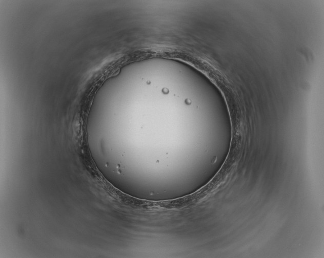 X0000113151398200909181741