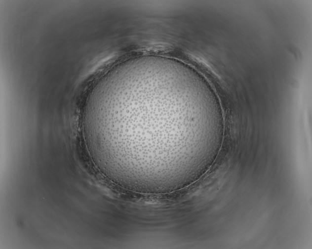 X0000113151399200909181741