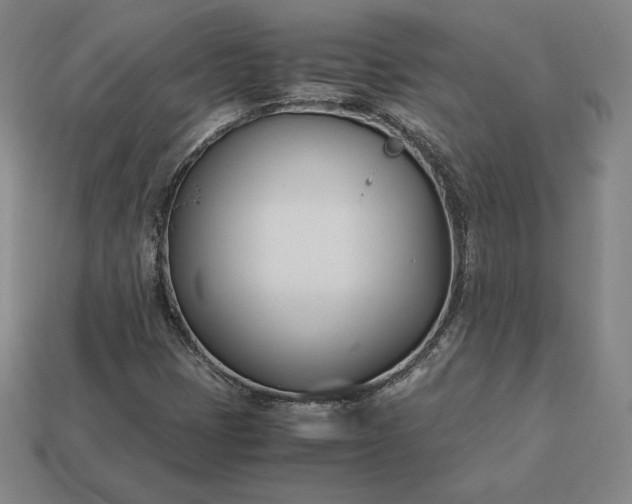 X0000113151401200909181741