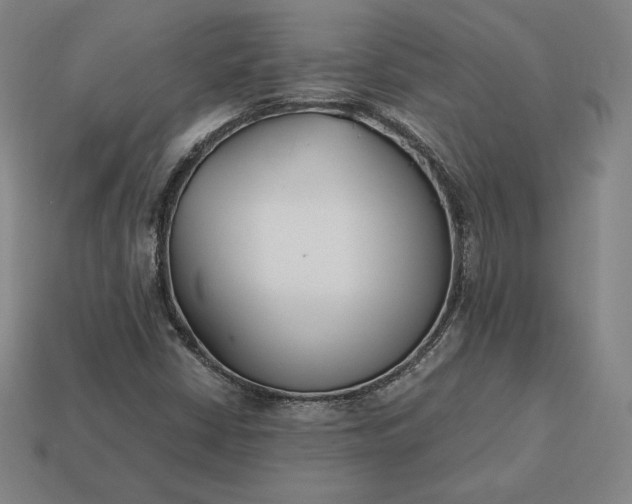 X0000113151402200909181741