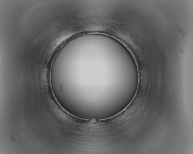 X0000113151404200909181741