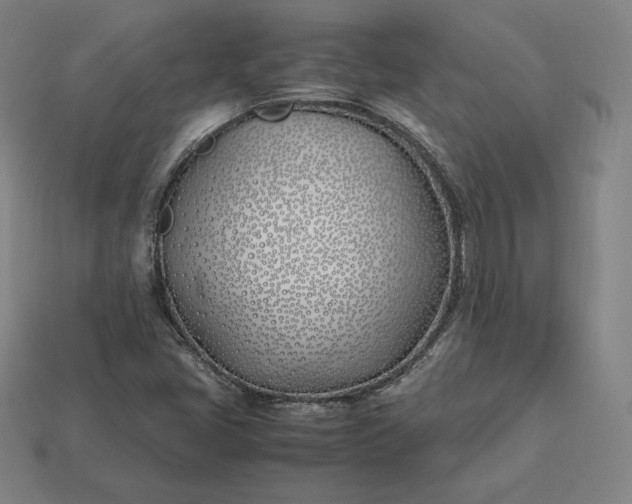 X0000113151405200909181741