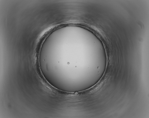 X0000113151406200909181741