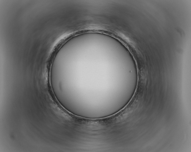 X0000113151408200909181741