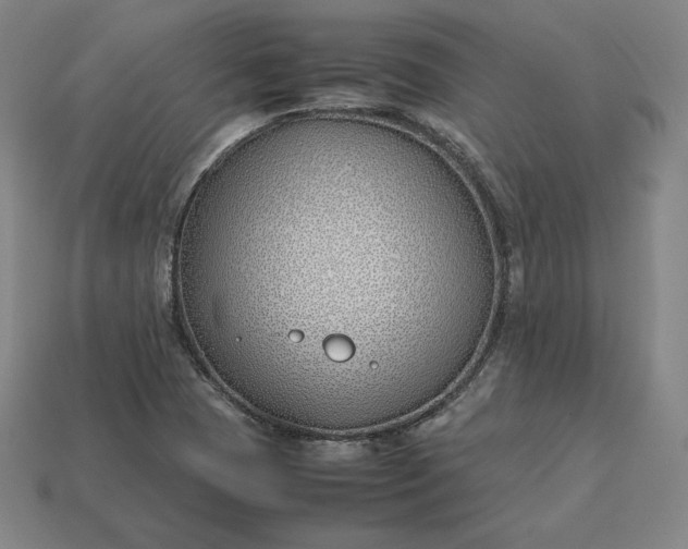 X0000113151409200909181741