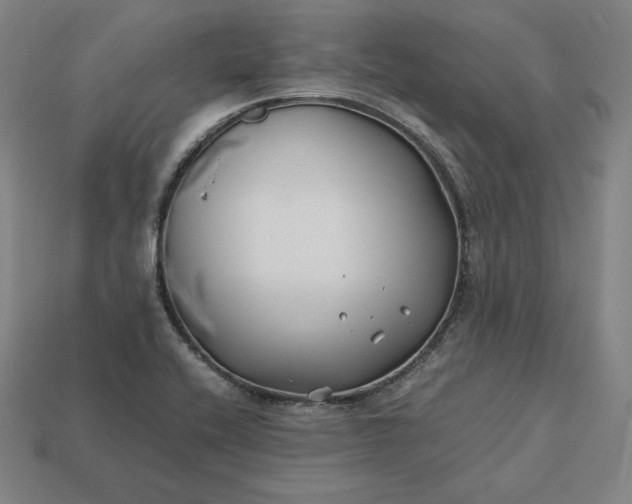 X0000113151416200909181741