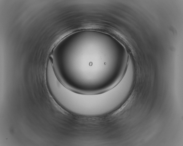 X0000113151417200909181741