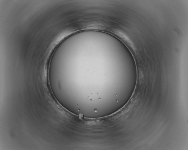 X0000113151419200909181741