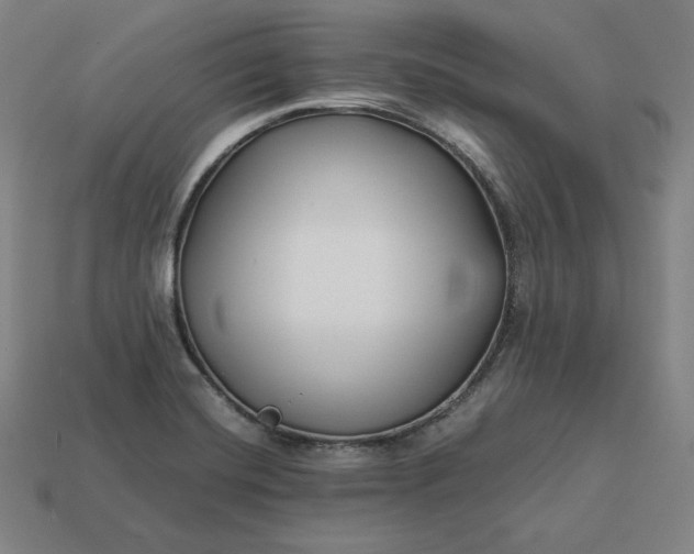 X0000113151420200909181741