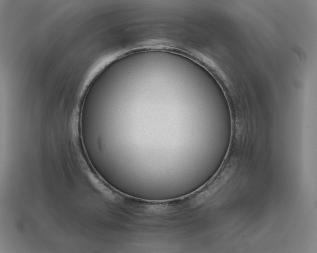 X0000113151421200909181741