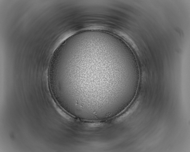 X0000113151425200909181741