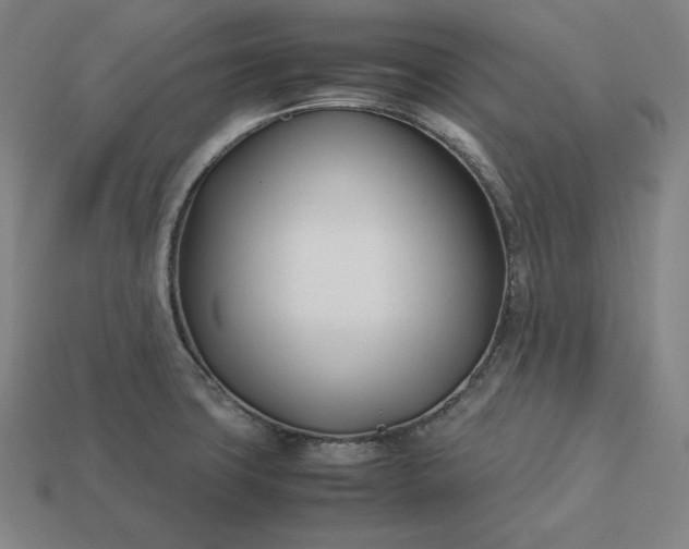 X0000113151427200909181741