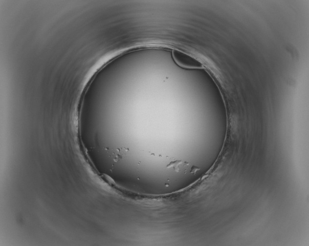 X0000113151428200909181741