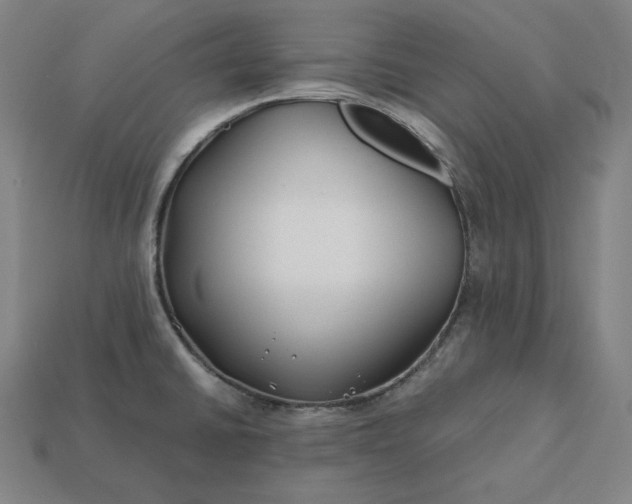 X0000113151430200909181741