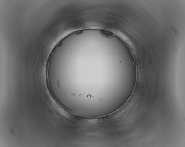 X0000113151431200909181741