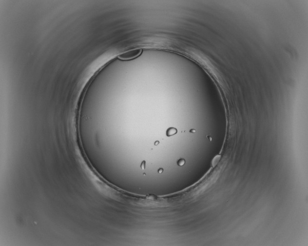 X0000113151434200909181741