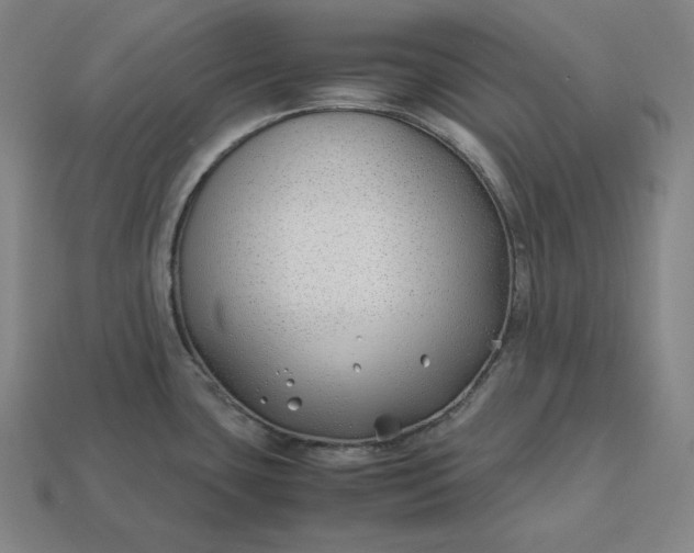 X0000113151435200909181741