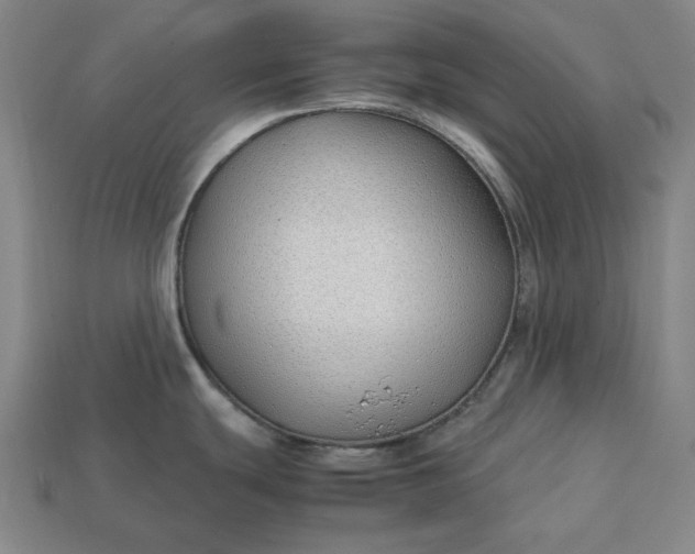 X0000113151439200909181741