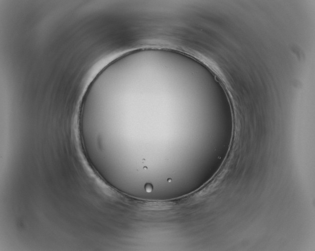 X0000113151440200909181741