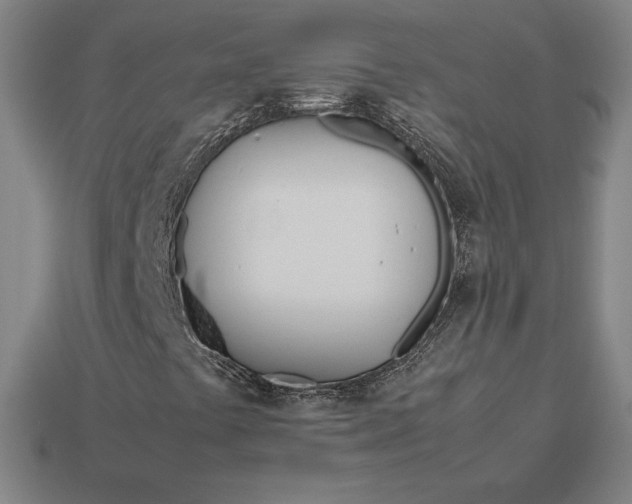 X0000113151441200909181741