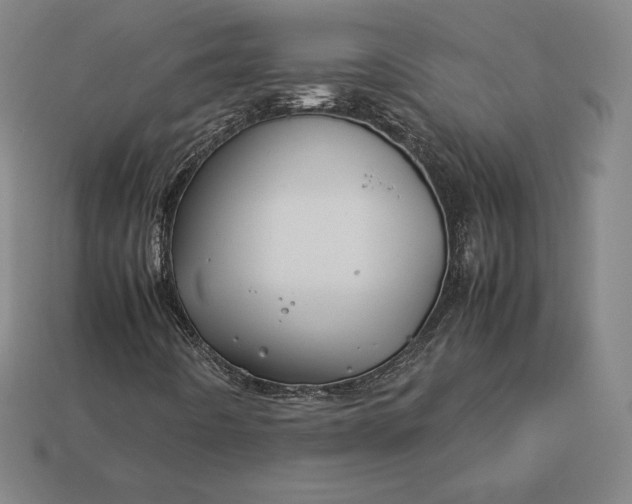 X0000113151442200909181741